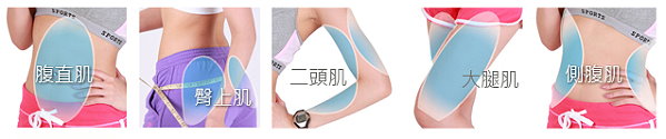 【日本樂天】超熱賣產品-Clover core美平衡健腹機