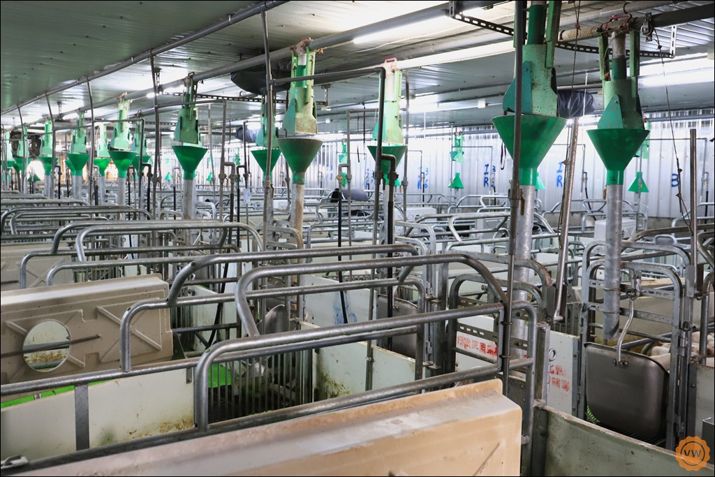 參訪 引領台灣邁向新型農業與循環經濟的歐式現代化豬隻養殖場：立富畜牧場 智慧畜禽技術