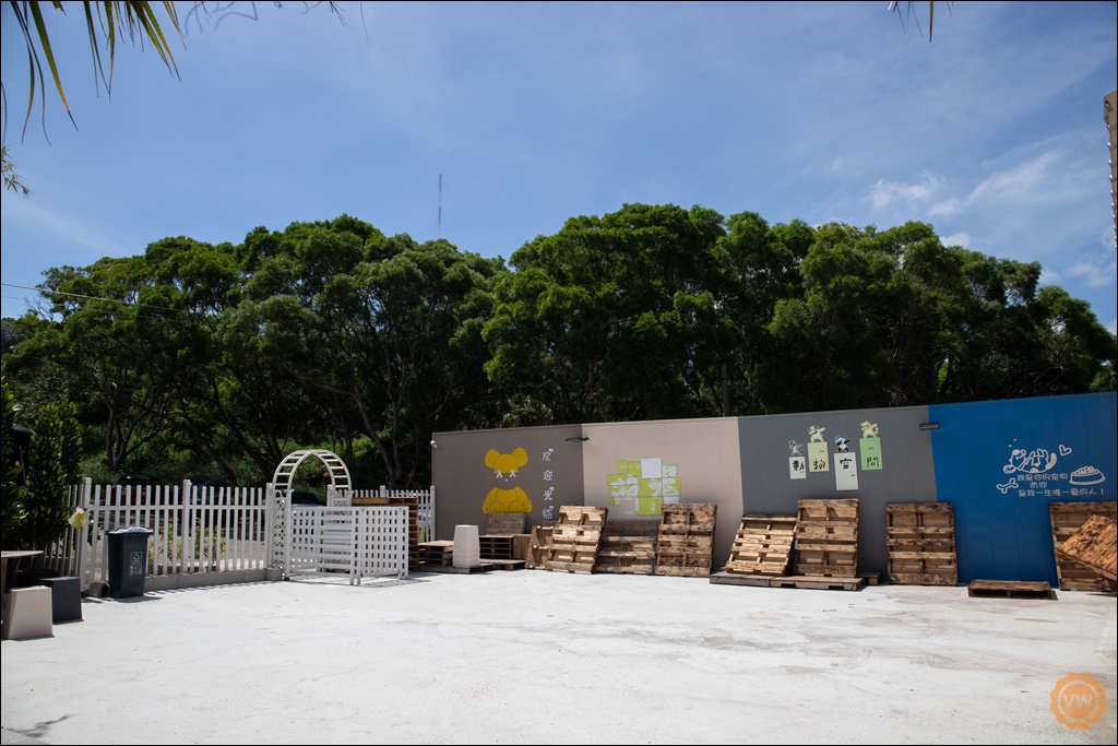 台中聚餐餐廳 寵物友善複合式餐廳推薦 動物空間Animal Space